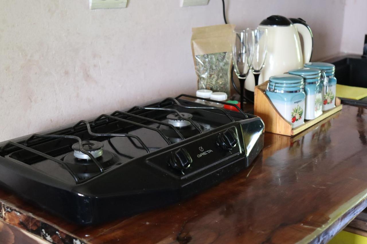 Ecoxata Apartment Slavske Bagian luar foto