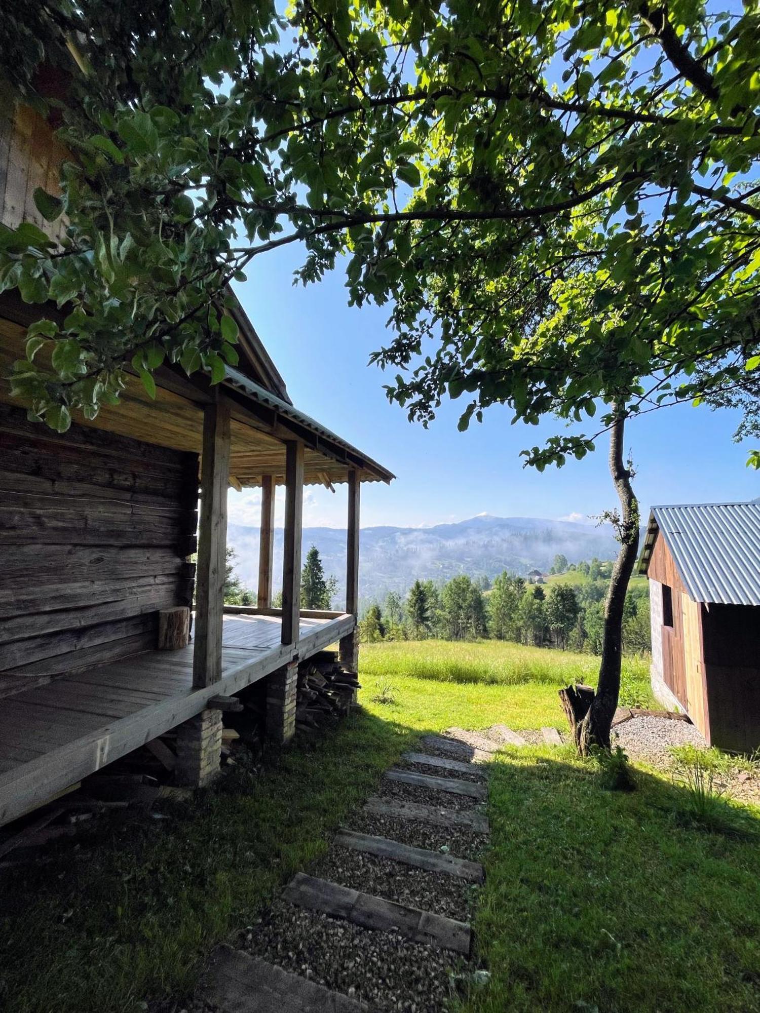Ecoxata Apartment Slavske Bagian luar foto